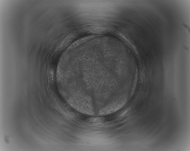 X0000099470117200806061229