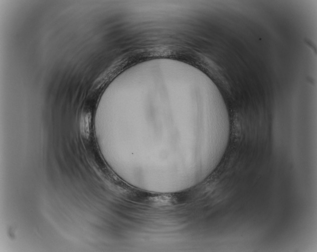 X0000099470118200806061229