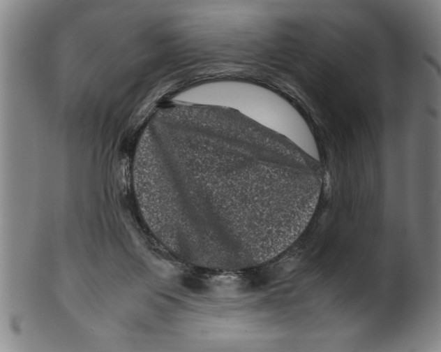 X0000099470119200806061229