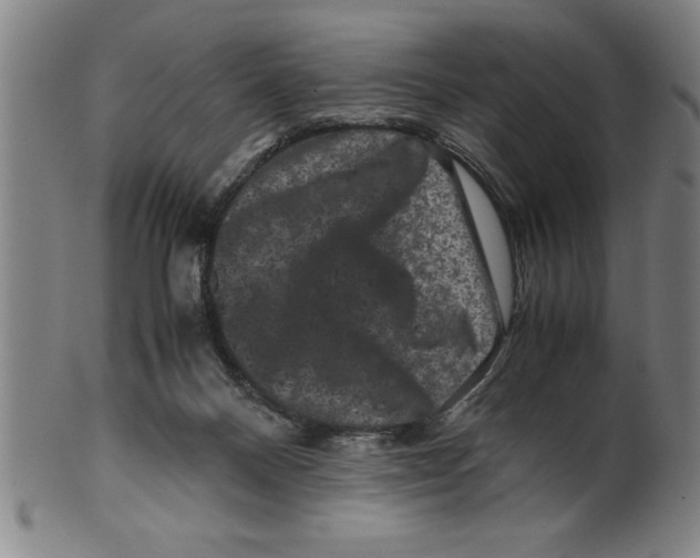 X0000099470120200806061229