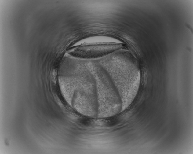 X0000099470121200806061229