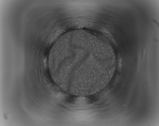 X0000099470123200806061229