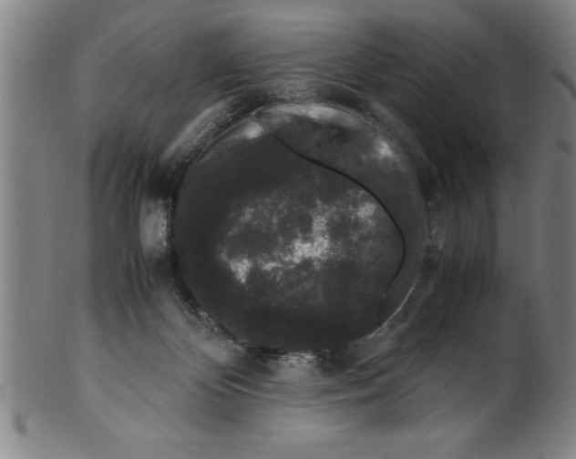 X0000099470124200806061229