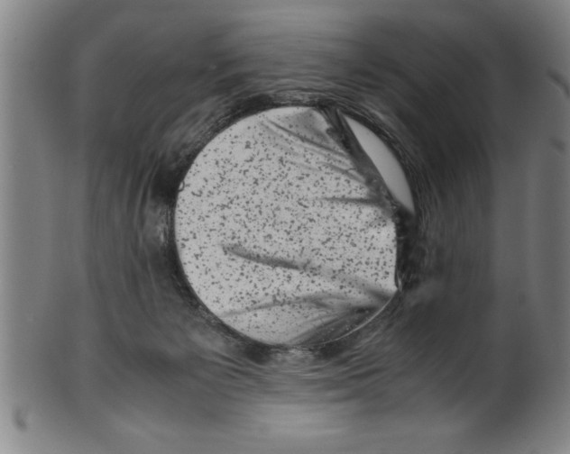 X0000099470125200806061229