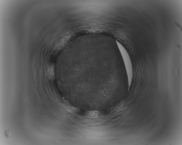 X0000099470127200806061229