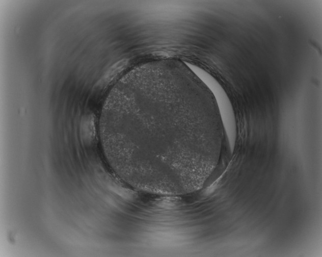 X0000099470128200806061229