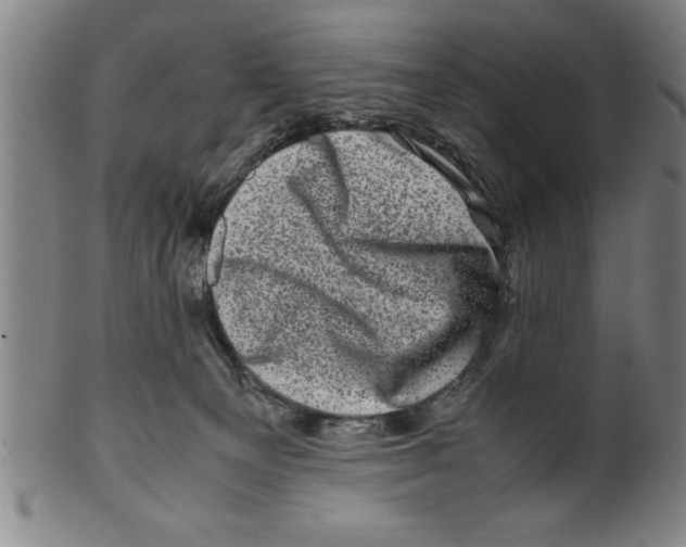 X0000099470129200806061229