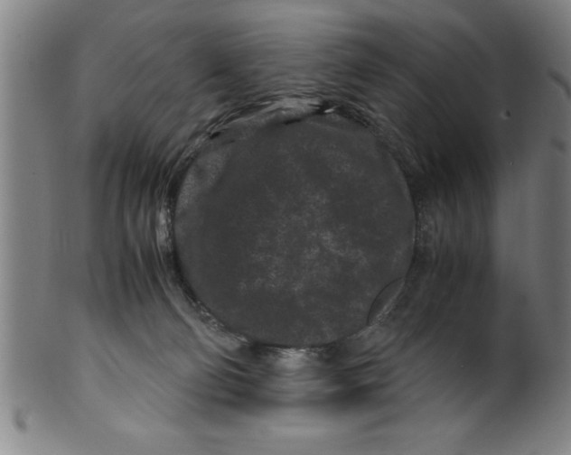 X0000099470130200806061229