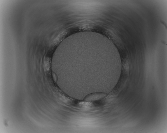 X0000099470133200806061229