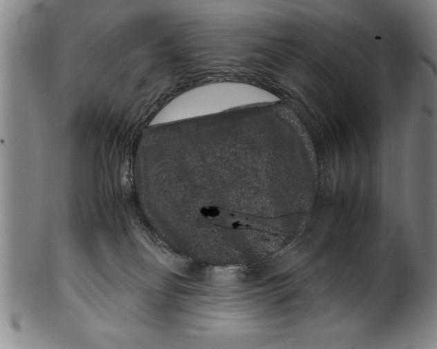 X0000099470134200806061229