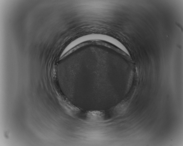 X0000099470137200806061229