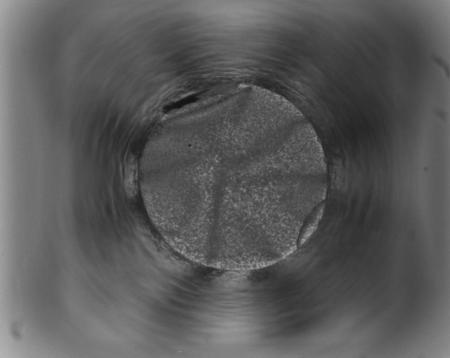 X0000099470138200806061229