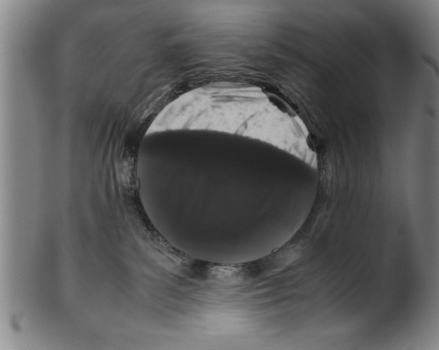 X0000099470139200806061229