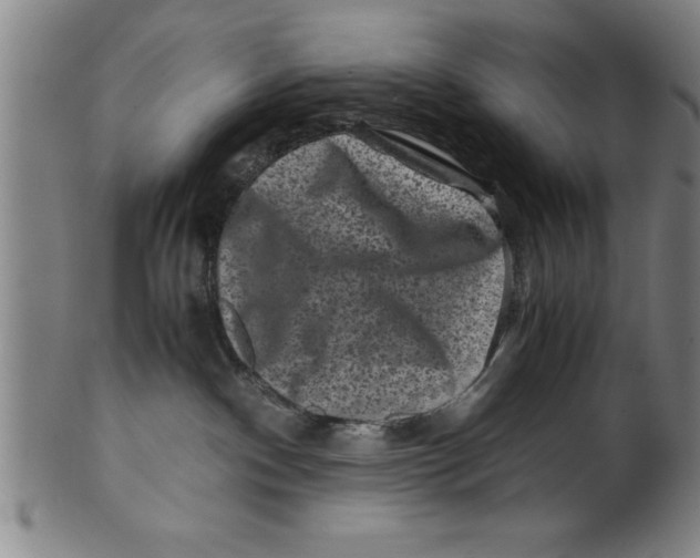 X0000099470140200806061229