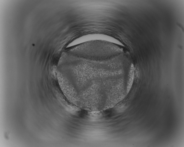 X0000099470141200806061229