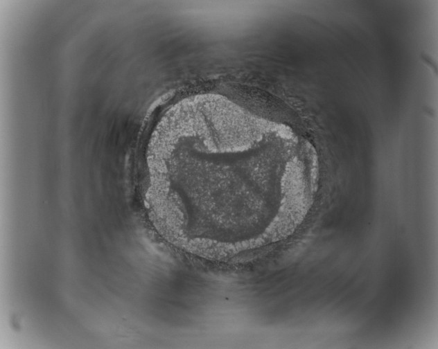 X0000099470144200806061229