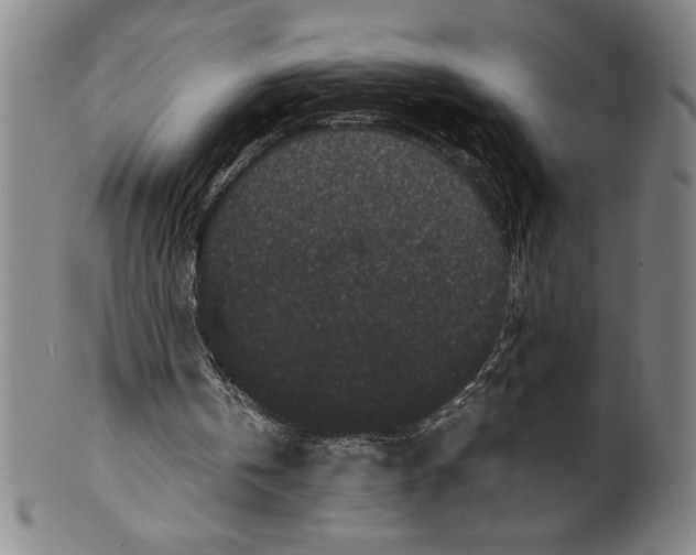 X0000099470146200806061228