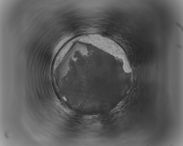 X0000099470147200806061228