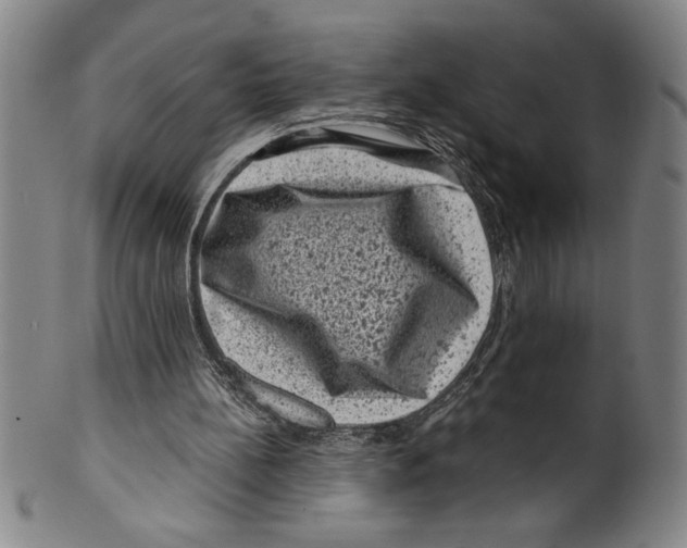 X0000099470148200806061228