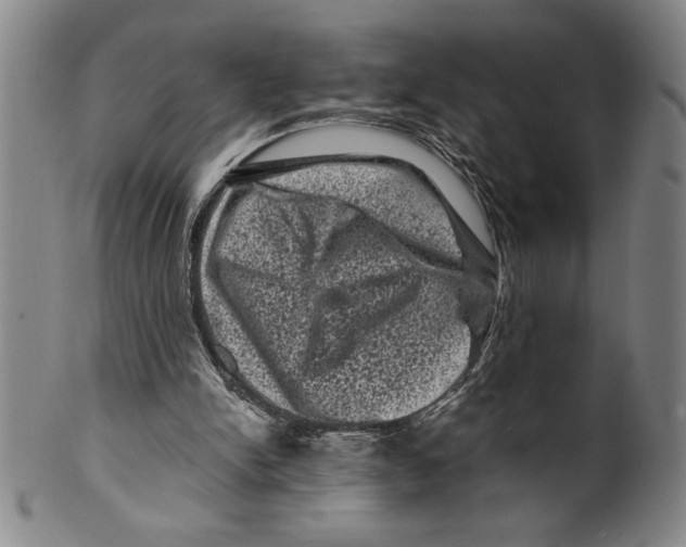 X0000099470150200806061228