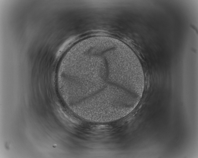 X0000099470151200806061228