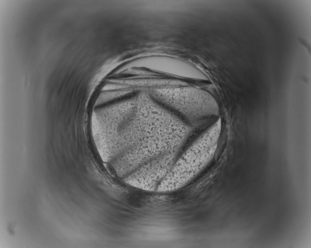 X0000099470152200806061228