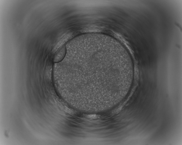 X0000099470153200806061228