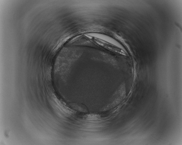 X0000099470154200806061228