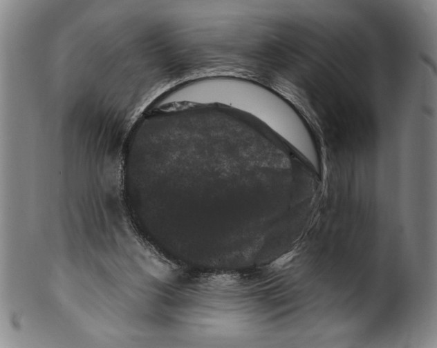 X0000099470156200806061228