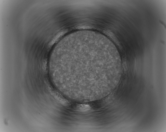 X0000099470159200806061228