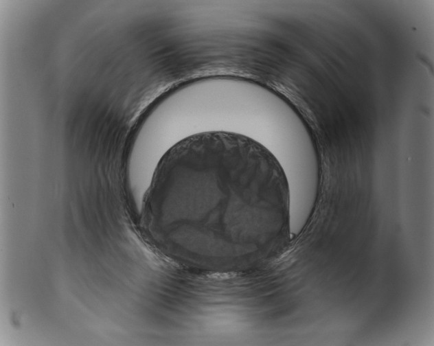 X0000099470160200806061228