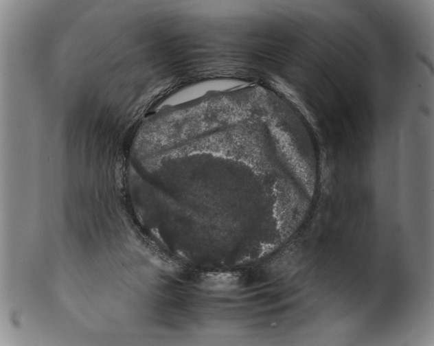 X0000099470161200806061228