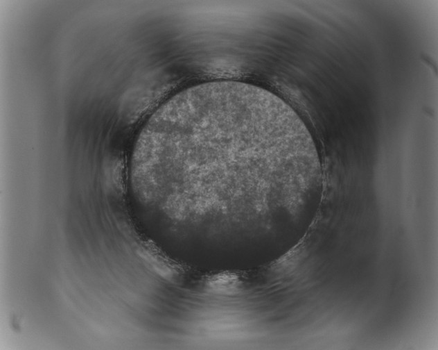 X0000099470162200806061228