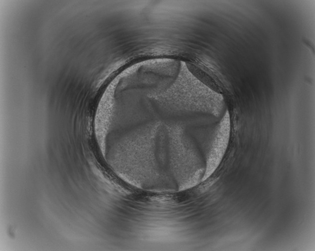 X0000099470164200806061228