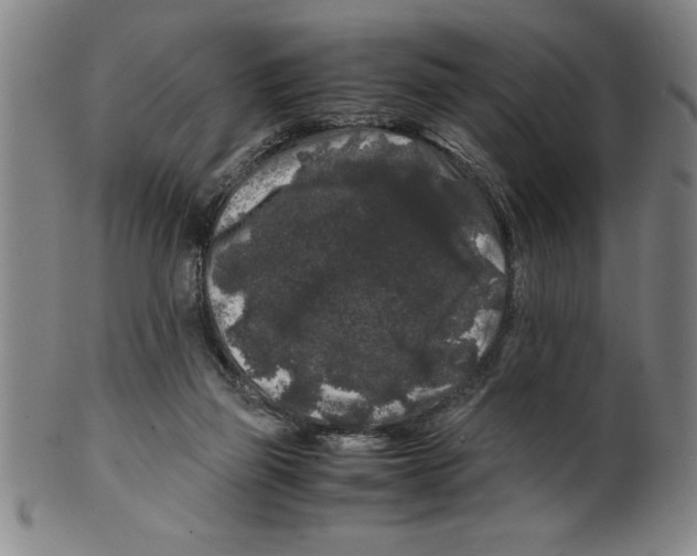 X0000099470165200806061228