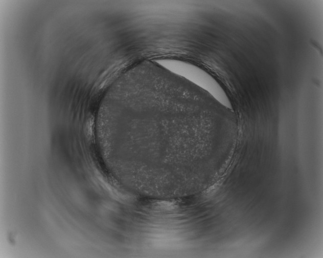 X0000099470166200806061228