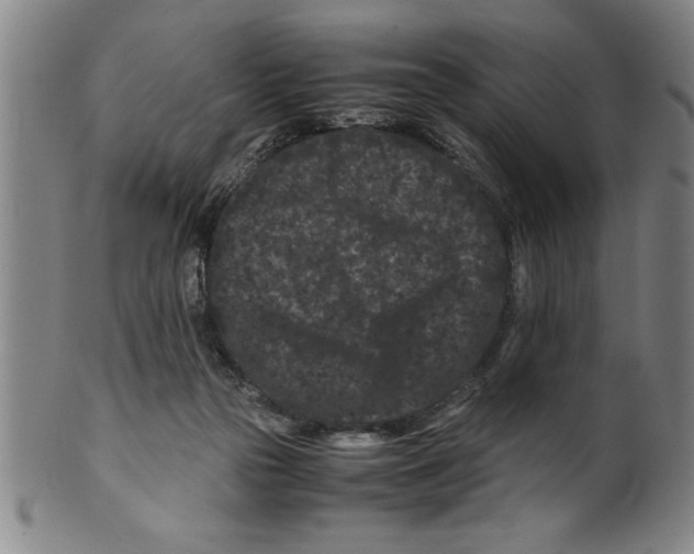 X0000099470169200806061228