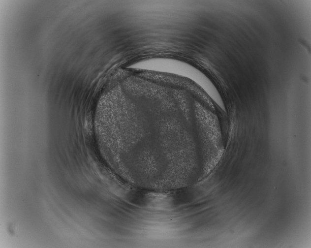 X0000099470170200806061228