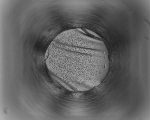 X0000099470172200806061228