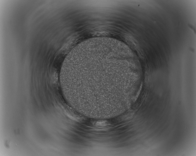 X0000099470173200806061228