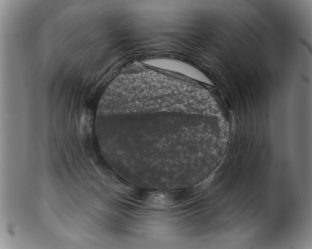 X0000099470174200806061228