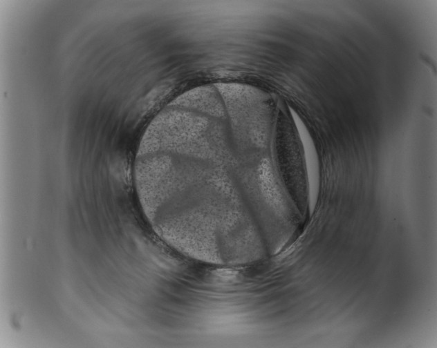 X0000099470176200806061228