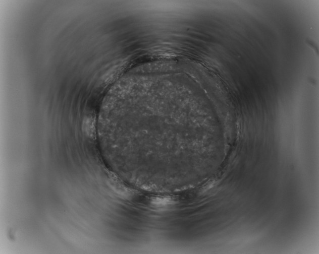 X0000099470177200806061228