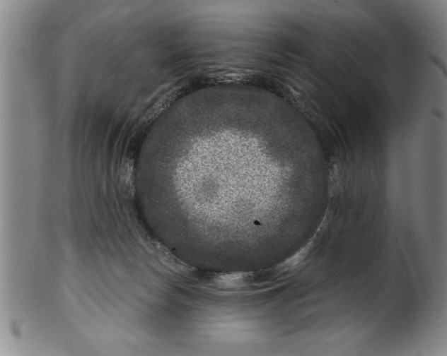 X0000099470178200806061228