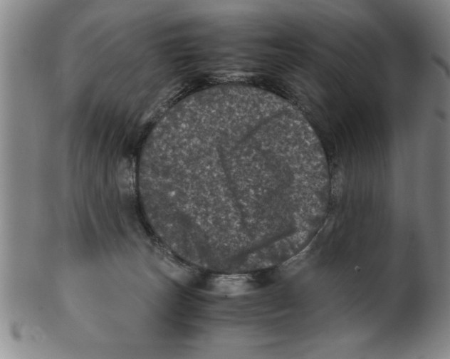 X0000099470179200806061228