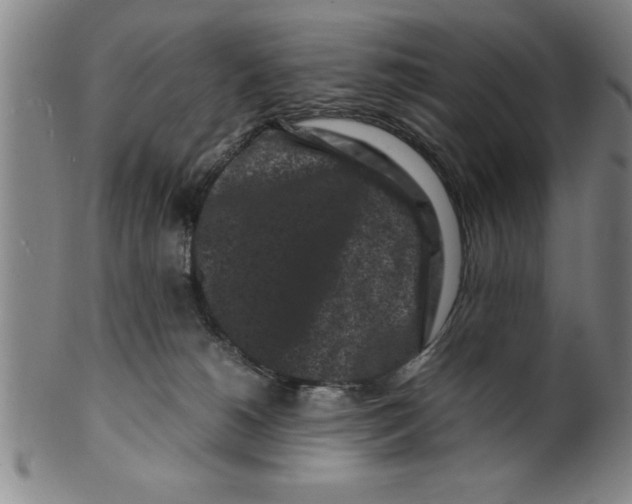 X0000099470180200806061228