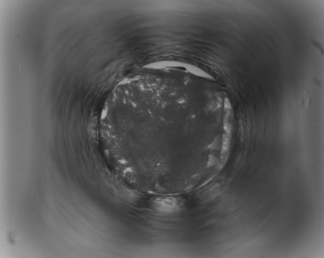 X0000099470181200806061228