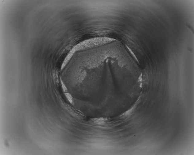 X0000099470182200806061228