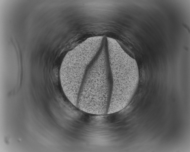 X0000099470184200806061229