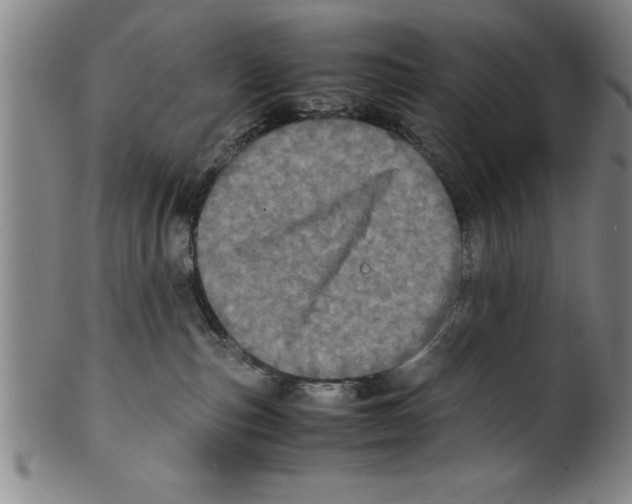 X0000099470187200806061229